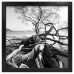 CLOSEOUT PRICE! MCS 12x12 Solid Wood Art Frame In Black (Same Shipping Any Qty) 44021475621  253504302331